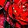 Rose Heart