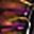 Purple Colorful