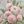 Pink Floral