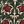 Red Green
