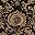 Black Gold Floral