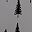 Black Pine Trees