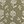 Olive Green Floral
