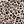 Brown Leopard Print