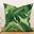 Green Banana Leaf
