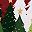 Red Christmas Trees
