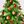Watercolor Tree