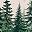 Winter Fir Forest