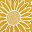 Yellow Sunflower