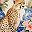 Cheetah And Floral