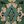 Green Kilim Pattern