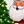 Santa And Tree