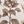 Vintage Floral