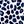 Navy Leopard Print
