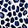 Navy Leopard Print