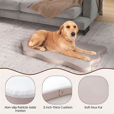 Orthopedic Dog Bed with Washable Cover for Small to Medium Dogs