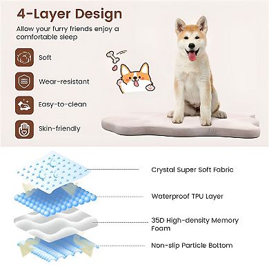 Orthopedic Dog Bed with Washable Cover for Small to Medium Dogs