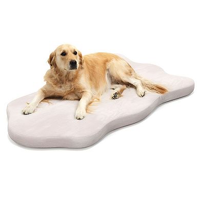 Orthopedic Dog Bed with Washable Cover for Small to Medium Dogs