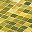 Lemon Yellow