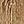 Wood Color