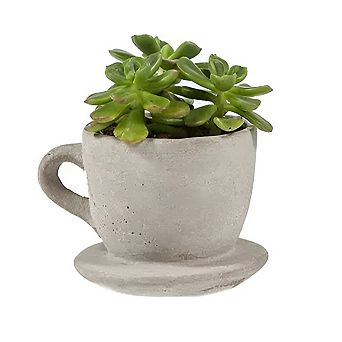 Decorative Concrete Tea Cup with Attached Saucer for Tabletop Accent and Shelf Display