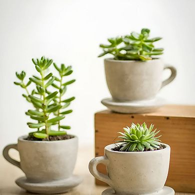 Decorative Concrete Tea Cup with Attached Saucer for Tabletop Accent and Shelf Display