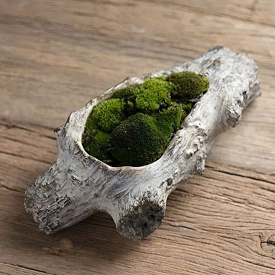Concrete Log Style Planter with Tree Bark Texture for Succulents and Small Plants