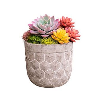 Geometric Cement Planter with Grid Relief Pattern for Indoor Succulent and Small Plant Display