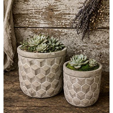 Geometric Cement Planter with Grid Relief Pattern for Indoor Succulent and Small Plant Display