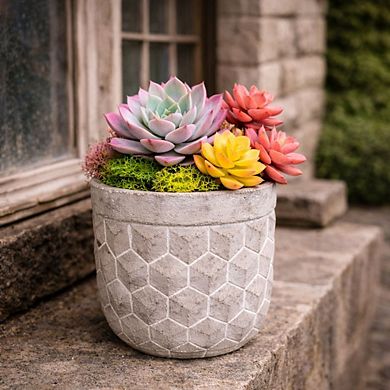 Geometric Cement Planter with Grid Relief Pattern for Indoor Succulent and Small Plant Display