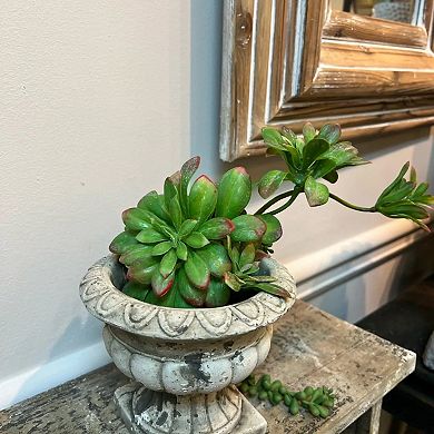 Classic Urn Style Concrete Planter Pot for Shelf Tabletop Floral Arrangement