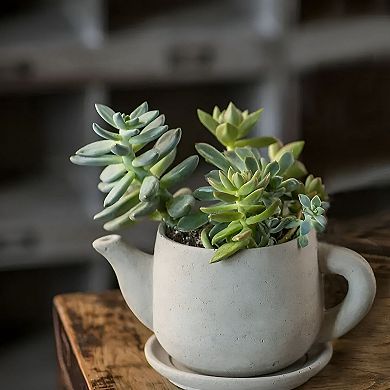 Teapot Shape Cement Planter Pot for Shelf Countertop Small Plant Decor