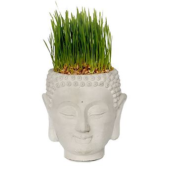 Buddha Head Planter Cement Sculpture for Indoor Succulent Vase or Candle Holder