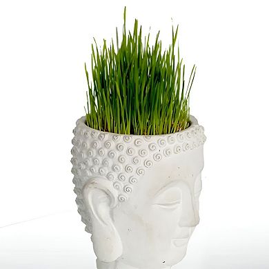 Buddha Head Planter Cement Sculpture for Indoor Succulent Vase or Candle Holder