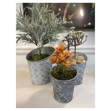 Round Basketweave Metal Planter for Indoor Succulent and Small Plant Display