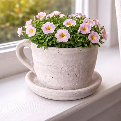 Large Teacup Shape Cement Planter Pot for Shelf Countertop Small Plant and Faux Greenery