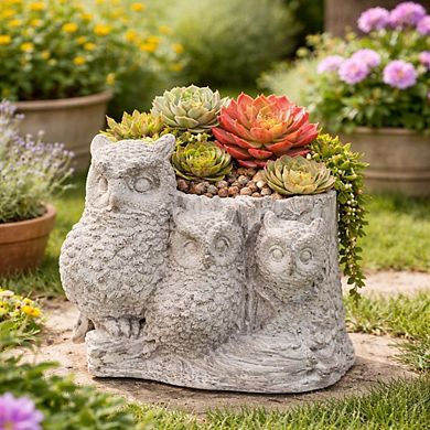 Decorative Cement Three Owl Design Planter Pot with Drain Hole for Small Plants and Succulents