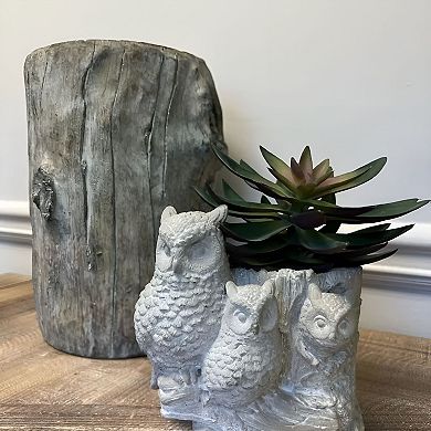 Decorative Cement Three Owl Design Planter Pot with Drain Hole for Small Plants and Succulents