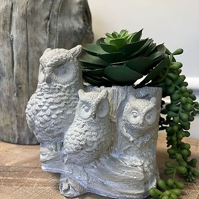 Decorative Cement Three Owl Design Planter Pot with Drain Hole for Small Plants and Succulents