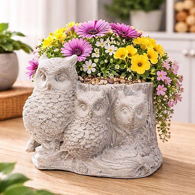 Decorative Cement Three Owl Design Planter Pot with Drain Hole for Small Plants and Succulents