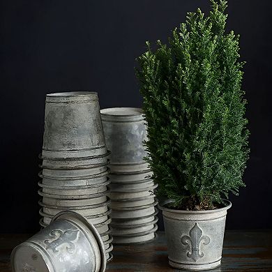 Metal Embossed Flower Pot, Zinc Finish Small Planter for Succulents Table Shelf Decor