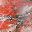 Red Veins Stone