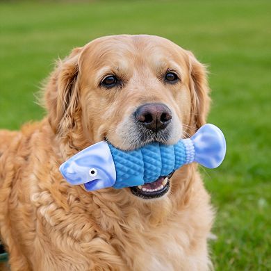 Bacon Flavor Squeaky Chew Toys Teeth Cleaning for Medium Large Dogs