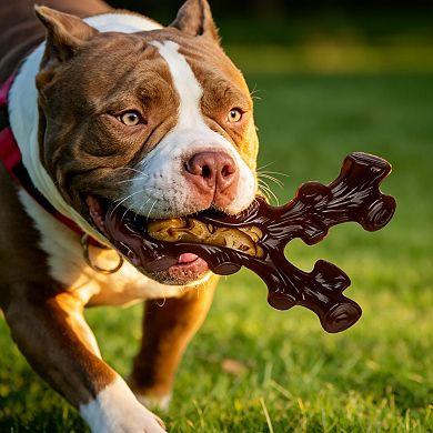 2 Pack Durable Dog Chew Toys Teeth Cleaning for Medium Large Dogs