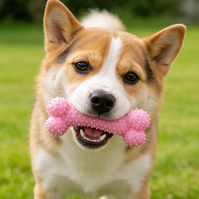 6 Pack Pink Puppy Chew Toys Soft Durable Interactive for Small Dogs