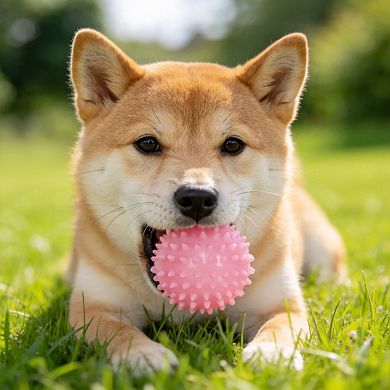6 Pack Pink Puppy Chew Toys Soft Durable Interactive for Small Dogs