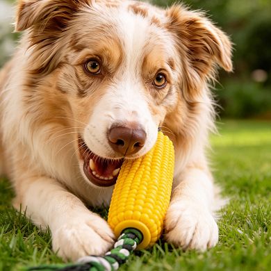 Corn Shaped Squeaky Chew Toy Durable for All Dogs