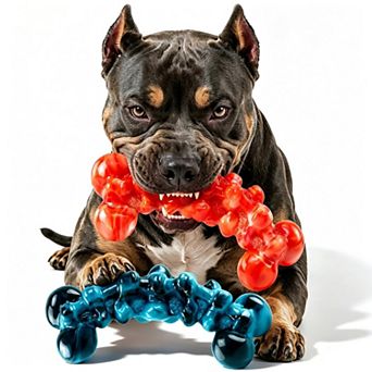 2 Pack Durable Dog Chew Toys Teeth Cleaning for Medium and Large Dogs