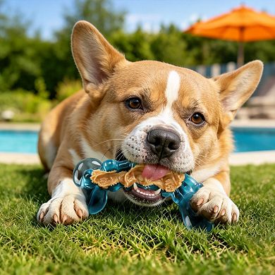 2 Pack Durable Dog Chew Toys Teeth Cleaning for Medium and Large Dogs