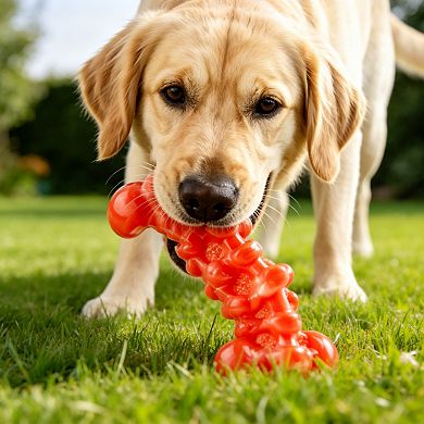 2 Pack Durable Dog Chew Toys Teeth Cleaning for Medium and Large Dogs